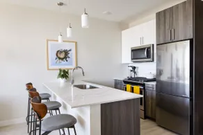 32+Day 1BR Premium Apt in South Loop - Image 2