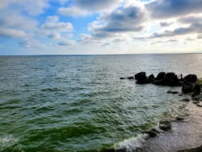 Pet Friendly Water Front Private Beach Lake Erie - Image 4