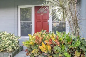 Cozy retreat - 8 min. to Park Ave / Pets welcome - Image 3
