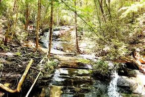 Luxury cabin overlooking the creek with privacy - Image 5