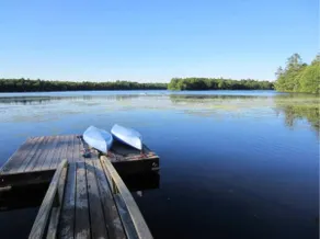 Studio Apartment on Peaceful Coleman Pond - Image 1
