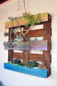 ”Olive” Accommodation - Image 5