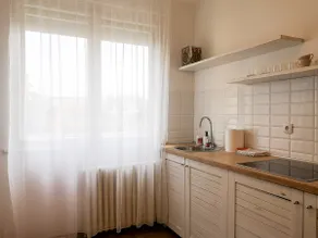 Elegant Apartment next to Dunavski Park - Image 3