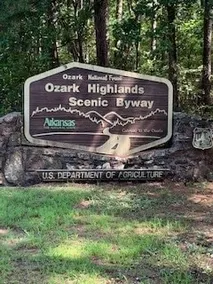 Sweet Little Bee Hive in the Ozarks! - Image 4