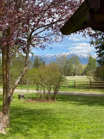 Swan Mntn View--Entire, Private Basement Suite, Close to GNP, Whitefish & Lake. - Image 2