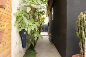 The SouthLA Oasis - Image 2