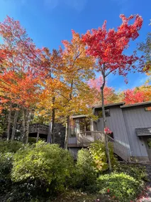 Luxurious Five Bedroom Hunter Mountain Hideaway - Image 2