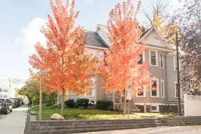 Newly renovated 2 bdrm apt in downtown Burlington - Image 5