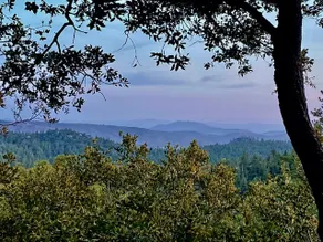 Treetop Terrace - View, level entry, rec room, A/C - Image 2