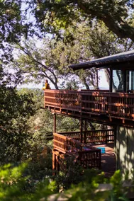 Treetop Terrace - View, level entry, rec room, A/C - Image 3