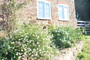 Pump Cottage - Cosy Herefordshire Cottage - Image 5
