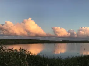 千葉いすみでBBQ！海まで140m　 Capetown Lagoon Resort　ラグーン - Image 3