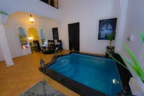 Riad des ours - Image 3