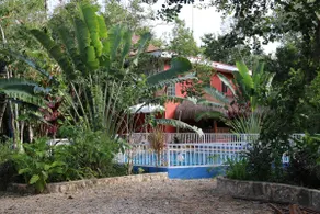 Fleur de Cactus - Image 3