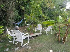 Casa Bosque Eco in the city - Image 2
