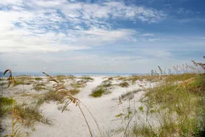 3 Bedroom Beach Condo with Pool - Image 5