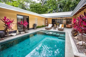 Luxury and Privacy 3 King Suites Central Location - Image 2