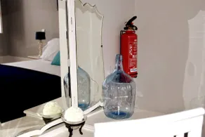 Orchid Flower - Guimarães Historic Center - Image 5