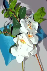 Orchid Flower - Guimarães Historic Center - Image 2