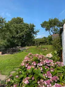 Cosy rural 1 bedroom cottage with views & patio - Image 4