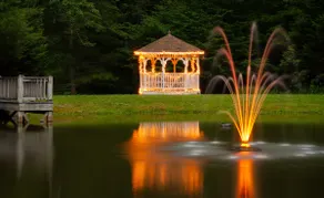 Summer is Here at The Garden House! - Image 4
