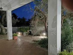 Villa among the olive trees and the sea in Tricase - Image 3