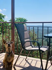 Ruby’s Charming house with breathtaking views! - Image 4