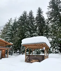 Spirit Bear Cabin, with Loft and Hot Tub !! - Image 2