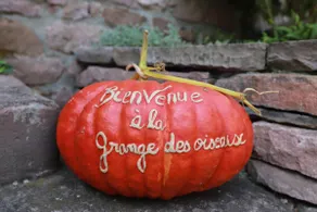 the Grange aux Oiseaux, the Mésanges - Image 3