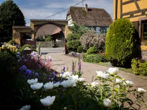 the Grange aux Oiseaux, the Mésanges - Image 4