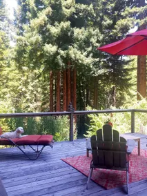 Brennan's Cottage - Image 2