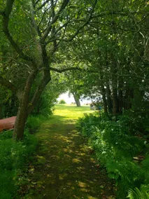 Newly Renovated 3 Bedroom Cabin on the lake! - Image 2