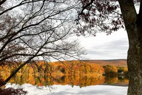 Lakefront Retreat on Robinson Pond - Stunning Sunrise - Image 2