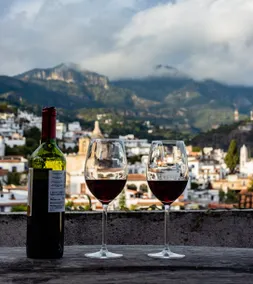 Beautiful family apartment in the historic center of Taxco, with a terrace and a spectacular panoramic view. - Image 2