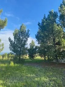 Country house inside Huerta Los Altos - Image 2