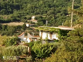 House of the Stars - Image 2