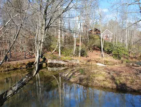 Vineyard Life Ellijay! Free wine tasting - Image 4