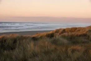 Bowie & Jay's Beach House - Pet Friendly - Image 5