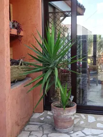 10 minutes from the beach and the village, Atypical 2 bedroom - Image 5