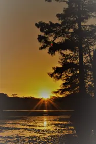 Caddo Lake Jefferson Karnack Uncertain TX Vivian - Image 4
