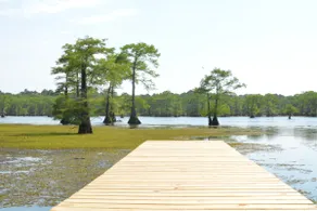 Caddo Lake Jefferson Karnack Uncertain TX Vivian - Image 5