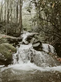 Glass Treehouse: waterfalls, boulders, hot tub - Image 5