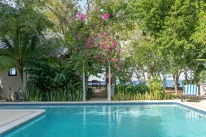 Cliffhouse - Private Oceanfront Villa w/ coralreef - Image 4