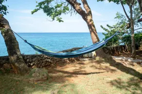 Cliffhouse - Private Oceanfront Villa w/ coralreef - Image 3