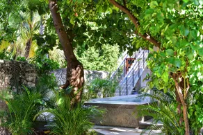 Casa 1934, an Oasis in the heart of Merida - Image 2