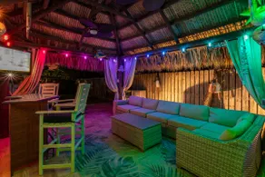 Turtle's Nest - Image 3