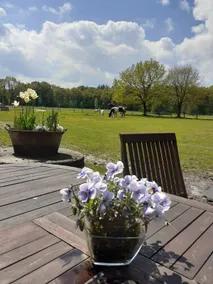 Estate by the forest Apartment near the North Sea - Image 4