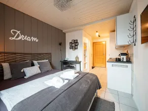 Lovely little apartment in St. Gallen near the university - Image 4