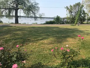 The River Cottage on the Mississippi - Image 2