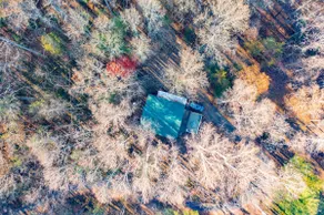 Cozy 2 BR Cabin Tucked Away In Blue Ridge Mtns. - Image 4